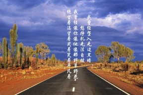 开云体育官方网入口-勇士推出AI分析球迷情绪系统，用于主场氛围优化，勇士球迷素质