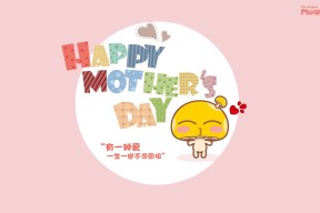 开云网页-国家赛车队新赛季阵容公布，目标冲击世界冠军，国际赛车车队