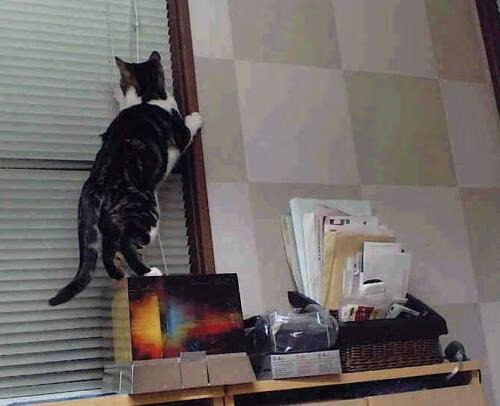 _勇士连续三场三分大爆发，胜利在望_，勇士三分集锦