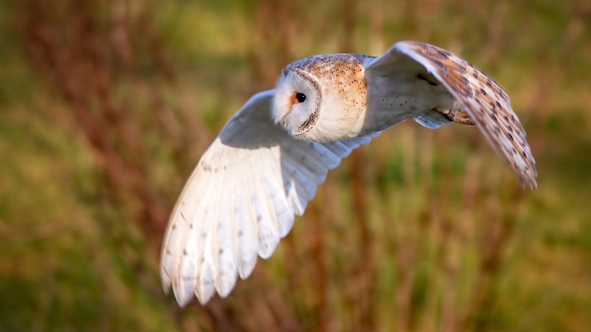 _极地冰川徒步:探索白雪皑皑的冒险之旅_,极地冰川主要在哪里