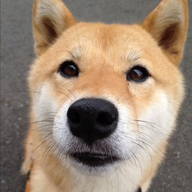 “足球明星李明西进，开启新一季征程”，李明 足球妻子